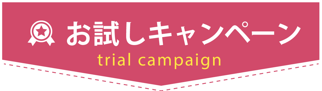 お試しキャンペーン